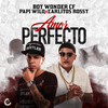 Amor Perfecto - Boy Wonder CF&Papi Wilo&Carlitos Rossy