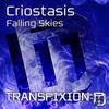 Falling Skies (Original Mix) - Criostasis