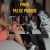 Pas de panique - Pinou