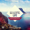 Beautiful Life (Gareth Emery Extended Remix) - Lost Frequencies&Sandro Cavazza