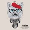 Everybody Loves Bill Murray (Original Mix) - Carlo Runia