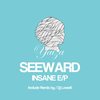 Insane (Dj Lowell Remix) - Seeward