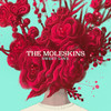 Sweet Love - The Moleskins&Gary Bias&Anita Baker&Louis A. Johnson