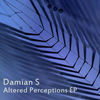 I'm Dreaming - Damian S