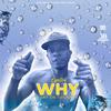 Why D cat in the rain (feat. Gully Musiq) - jussbusscamp records&Gully Musiq