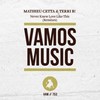 Never Knew Love Like This (Maurizio Basilotta Remix) - Mathieu Cetta&Terri B!