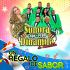 Ramito de Violetas - Sonora 100% Puro Dinamita De Anaidita&Evangelina Sobredo Galanes