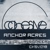 Signs (Balcazar Remix) - Anchor Acres