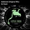 Addicted (Original Mix) - DJ Kash