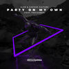 Party On My Own (feat. FAULHABER) - Alok&Vintage Culture&FAULHABER