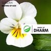 Waiting Of God (Original Mix) - Sundra