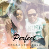 Perfect (Reggae Cover) - Conkarah&ROSIE DELMAH