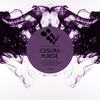 Purge (Original Mix) - Cesura