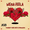 Wena Feela - Tumisho&Cheez Beezy&DJ Manzo Sa