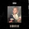 Robnhood Robnhood (Explicit) - Robnhood Tra