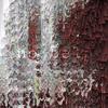 no help - QUINSEA