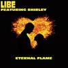 Eternal Flame (Instrumental) - Libe&Shirley
