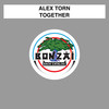 Together (Chantola Remix) - Alex Torn