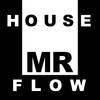 House - Mr Flow