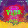 Vibe - Ayo B&Chatham the Sun