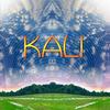 U.S.P - Kali
