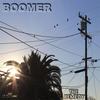 The Remedy - Boomer