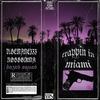 TRAPPIN IN MIAMI - Flawle$$ Vibe&Robbgikma