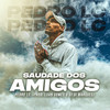 Saudade dos Amigos - Pedro Lc&DJ LUAN GOMES&DJ Di Marques