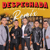 Despechada (Remix) - Alan Ramirez&Los Hermanos Medina