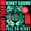 Feel So Right (Terence Evance Remix) - Kinky Sound&Terence Evance