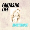 Fantastic Life - Martinique