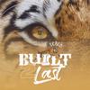 Built 2 Last (Explicit) - Ferlo