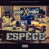 Espèce (Explicit) - Lyrrix&Pon2Mik
