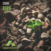 Born (Original Mix) - Stanv