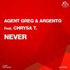 Never - Agent Greg&Argento&Chrysa T.