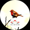 Lost Area - Mr Gil&Dudu Nahas
