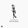 Notre Dame (Original Mix) - The Badgers