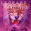 Leopard - Max Kissaru&GUZ