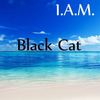 Black Cat (Original Mix) - I.A.M.