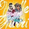 3,0 (Single Version) - Wolle&Harri