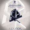 The Flash (Original Mix) - Vidaloca&Piem