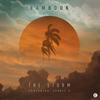 The Storm (The Drifter Remix) - Bambook&Jennie A&The Drifter&Eiad Sayegh&Hannes Netzell