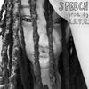 Speech (Explicit) - Nikki McKnight