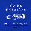 Fake Friends (Tobtok & Adam Griffin Remix) - PS1&Alex Hosking&Tobtok