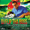 I Came to Party - Dj Flip Tha Boss&Broken English&Sunshine[组合]