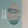 Negative Prevarication - Vincy