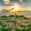 Peace Treaty - Burak Bedikyan