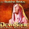 Om Mani Padme Hum (Tierro Remix) - Deva Premal