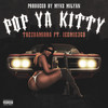 Pop Ya Kitty (Explicit) - Trezdamirra&Ice Mic 360