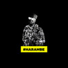 On My Own (Remix) - Hip Hop Pantsula&Slikour&Mr Selwyn